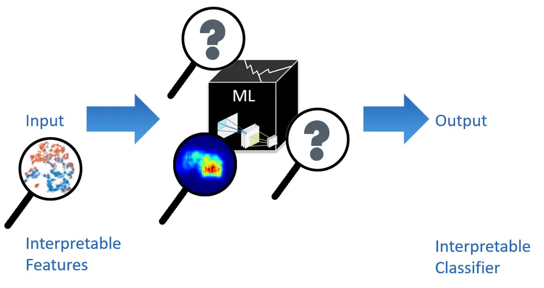 © THI Cracking open the black box by generating interpretable features